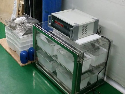 間歇性小鼠實(shí)驗(yàn)