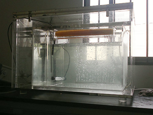 魚類光照實(shí)驗(yàn)