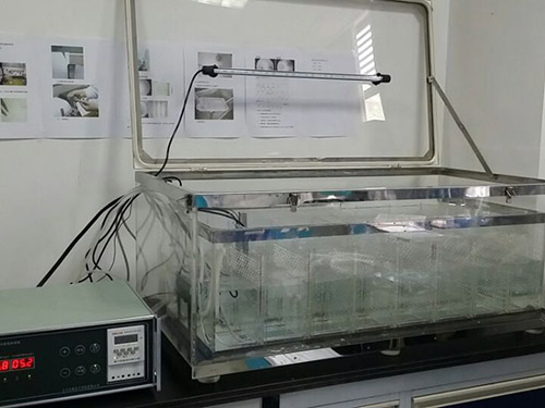 小型魚類實(shí)驗(yàn)