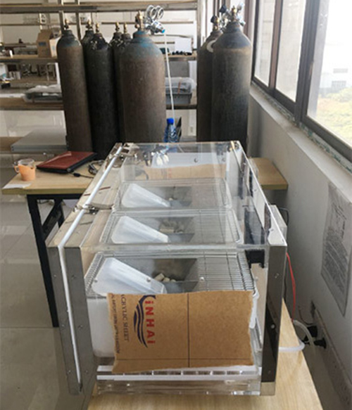 高低氧間歇小鼠實(shí)驗(yàn)