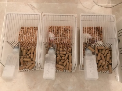 長沙華曦電子科技有限公司,長沙三氣培養(yǎng)箱,長沙二氧化碳檢測儀,氧氣控制器